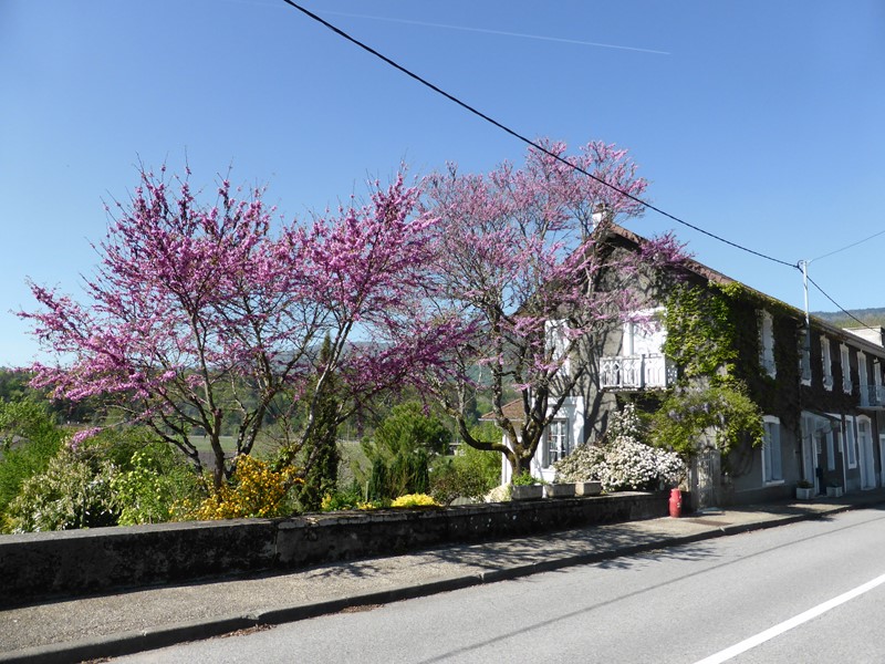 4c9ffb08-f458-443c-ba23-ea2bd062427a